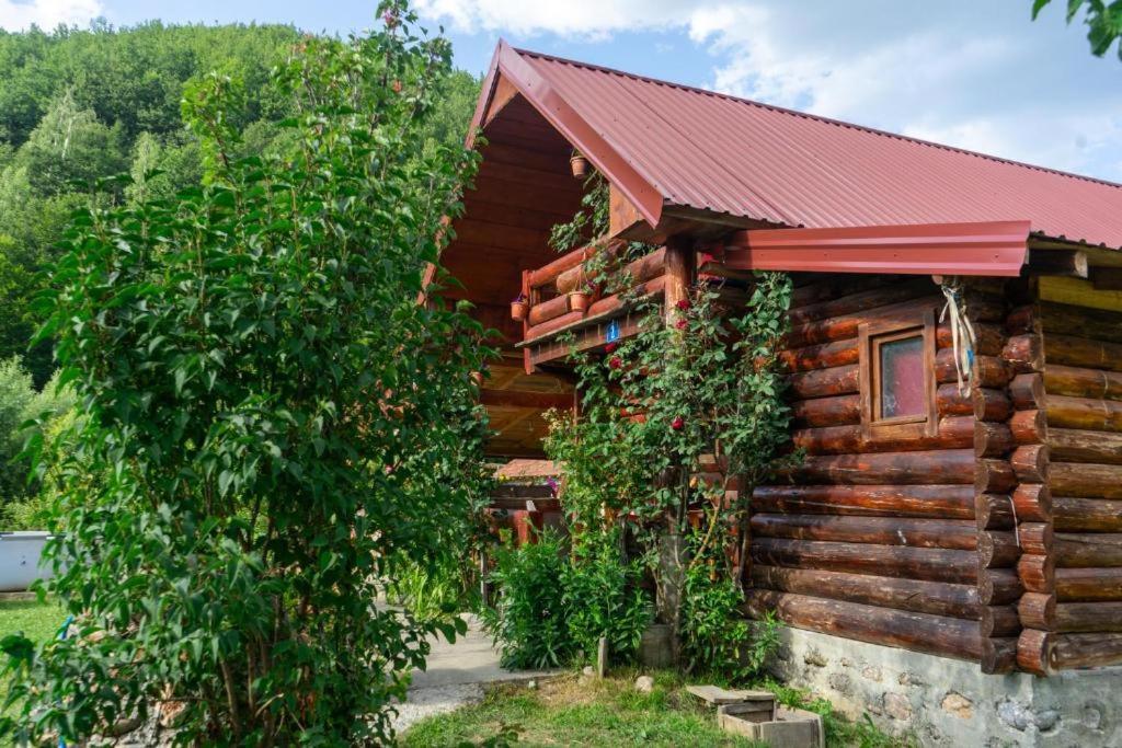 Plav Riverside Village Kültér fotó