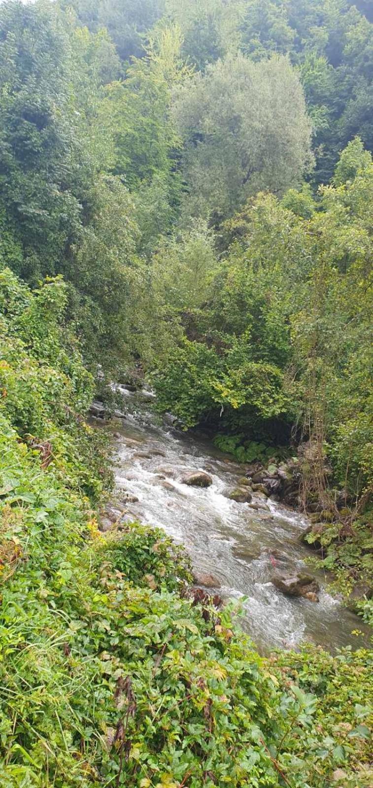 Plav Riverside Village Kültér fotó